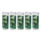 ItalWax 5x Wachspatrone 100 ml Aloe Vera