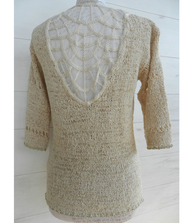 Elisa Cavaletti Pullover Gloss