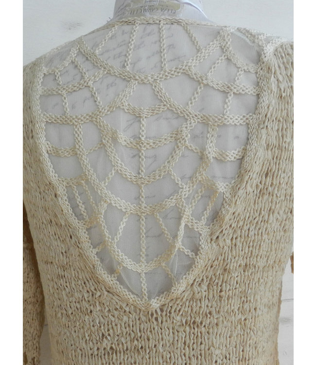 Elisa Cavaletti Pullover Gloss