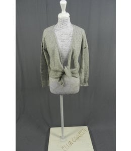 Elisa Cavaletti Strickjacke grau