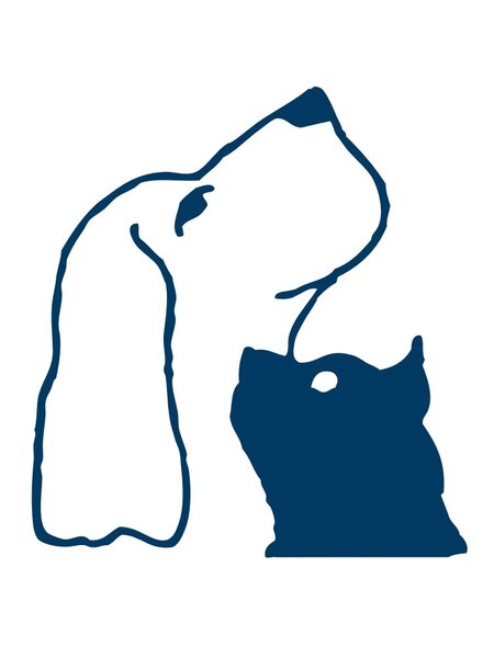 Borduren logo Dierenartsenpraktijk Danswijk