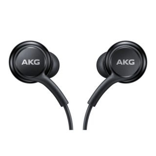Samsung AKG In-Ear Oordopjes (USB-C Connector), EO-IC100BBEGEU, 1M, Zwart, Blisterverpakking, 8806090270123;EO-IC100BBEGEU
