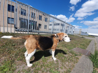 Kom je? Dan gaan we werken!