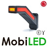 WAS WAS NEON Pendellamp richtingaanwijzer lang Links E-keur WAS WAS NEON Pendellamp richtingaanwijzer lang Links E-keur