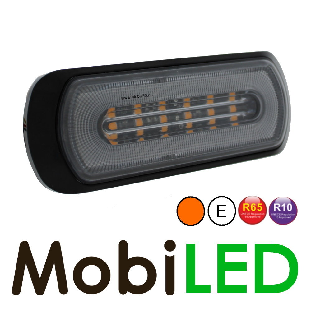 Halo flasher with reversing light E-mark