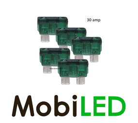 30 ampères  fusible à lame 5 pièces