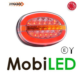 WAS Rear lamp oval with dynamic turn signal and brake light WAS Rear lamp oval with dynamic turn signal and brake light