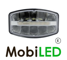 Spotlight with white position light