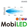 Strands Siberia Night Guard 22 pouces rangée double Strands Siberia Night Guard 22 pouces rangée double