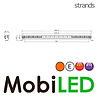 Strands Siberia Night Guard 32 inches single row Strands Siberia Night Guard 32 inches single row