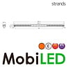 Strands Siberia Night Guard 38 inches single row Strands Siberia Night Guard 38 inches single row