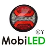 Reversing/fog light round 2 functions E-mark
