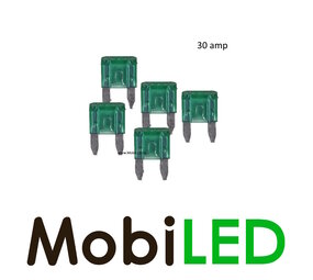 30 amps mini blade fuse 5 pieces 30 amps mini blade fuse 5 pieces