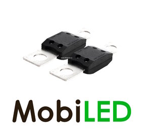 Fuse 40A 2 pieces