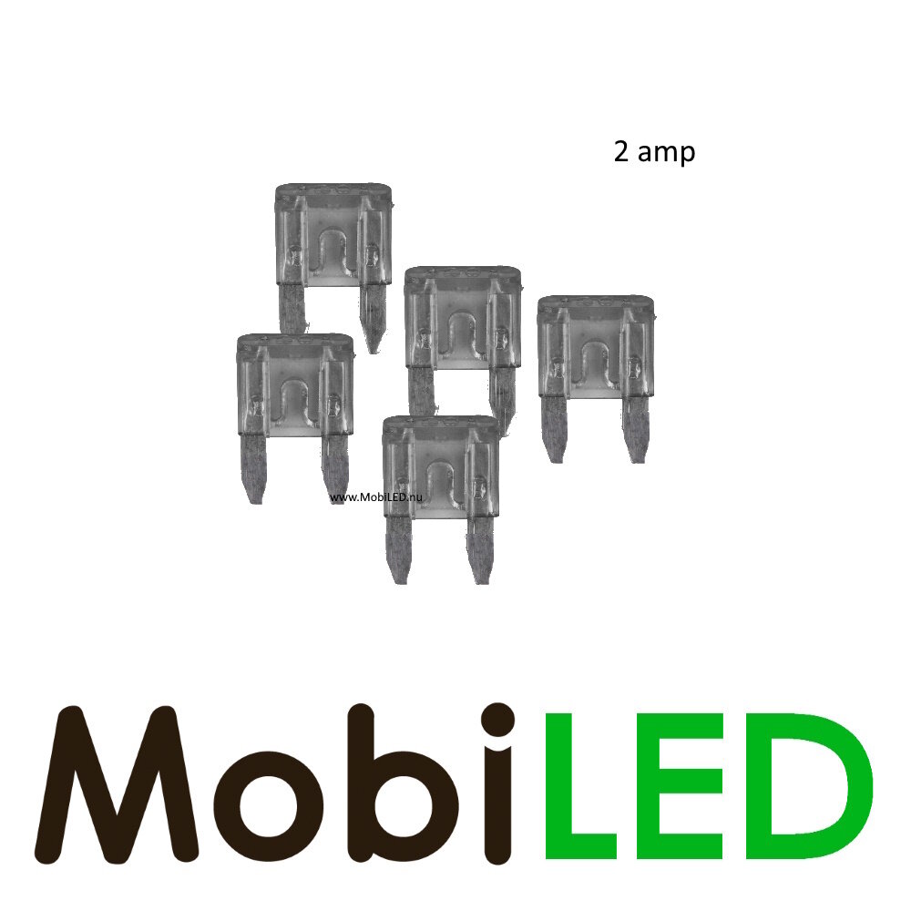 2 ampères fusible à lame mini 5 pièce 2 ampères fusible à lame mini 5 pièce