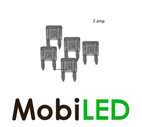 2 ampères fusible à lame mini 5 pièce