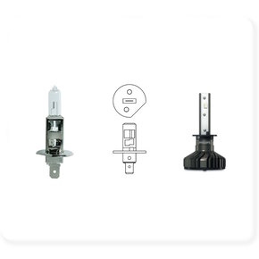 H1 (p14,5s) H1 (p14,5s)