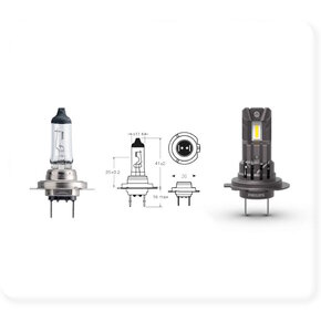 H7 (Px26d) H7 (Px26d)