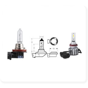 H9 (PGJ19-5) H9 (PGJ19-5)