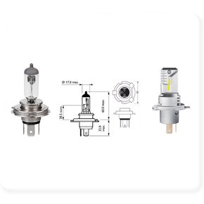 H19 (PU43t-3) H19 (PU43t-3)