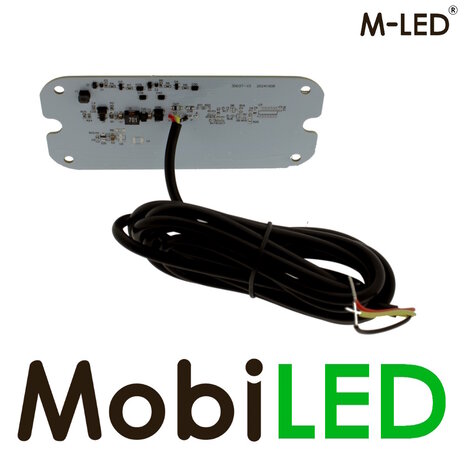 M-LED Talmu insert Blanc Ambre