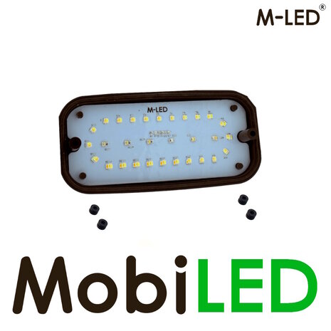 M-LED Talmu insert Blanc Ambre