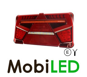 Rear light 5 functions dynamic right