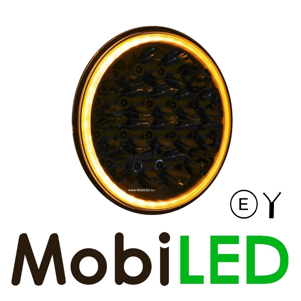 Spotlight with boost function and dual colour position light E-mark