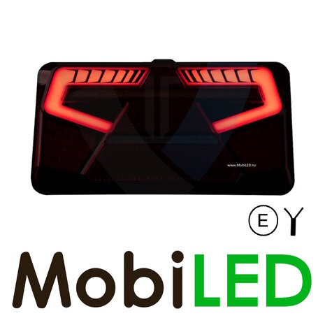 Set rear lights 5 functions dynamic with reflector E-mark