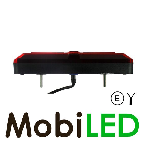 Set rear lights 5 functions dynamic with reflector E-mark