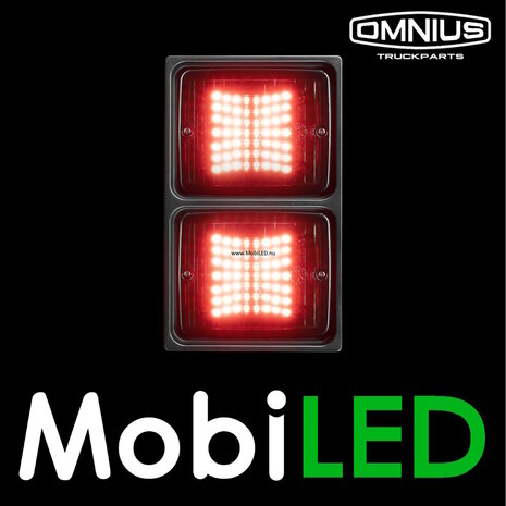 LEDSON Omnius frame voor 2 achterlichten staand LEDSON Omnius frame voor 2 achterlichten staand