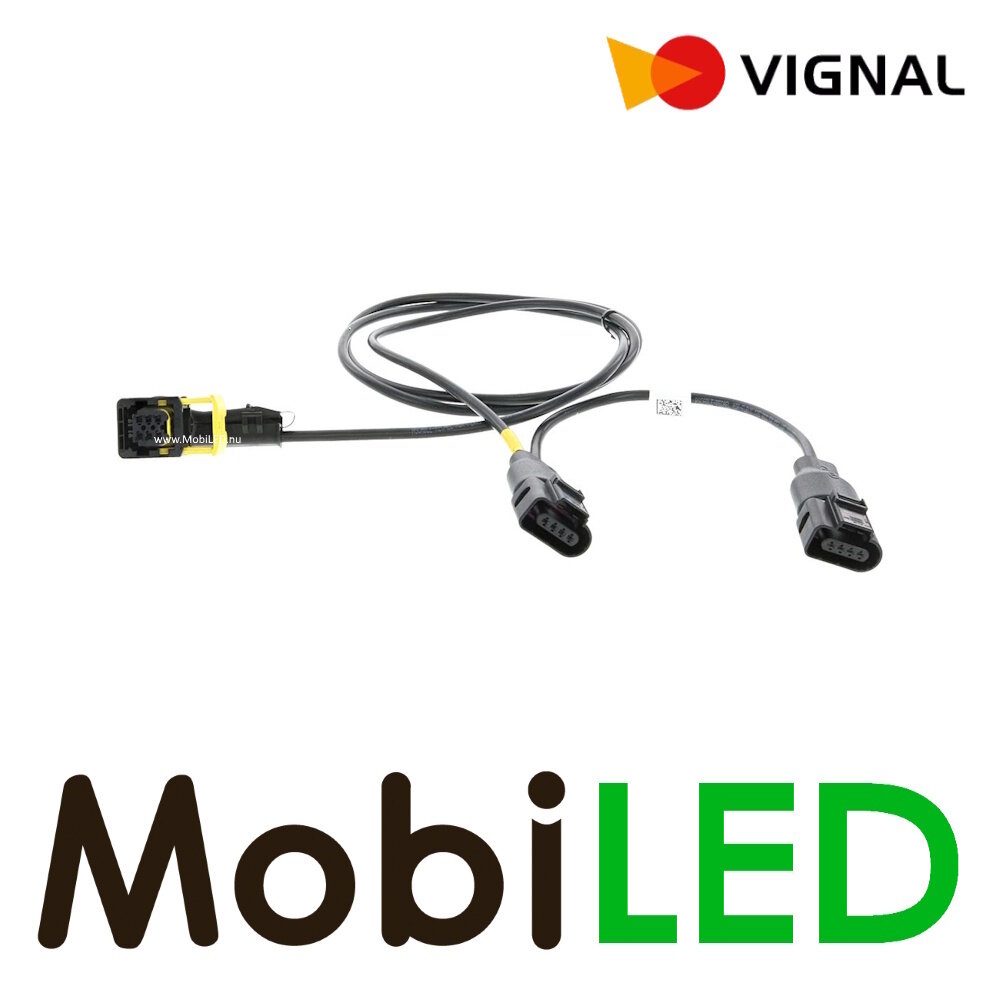 Vignal Vignal Faisceau de câblage pour 2 phares LCR19 gauche Schmitz