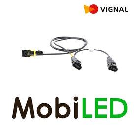 Vignal Kabelboom voor 2 linker LCR19 lampen Schmitz