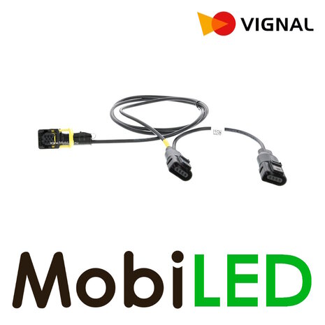 Vignal Vignal Wiring harness for 2 left-hand LCR19 lights Schmitz