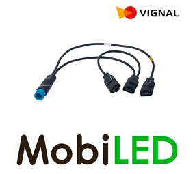 Vignal Wiring harness for 3 right LCR19 lights Schmitz