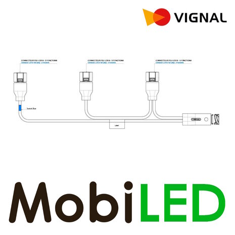 Vignal Vignal Wiring harness for 3 right LCR19 lights Schmitz