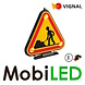 Vignal Vignal CEA LED Triflash 500 Manual classe 1 E-mark