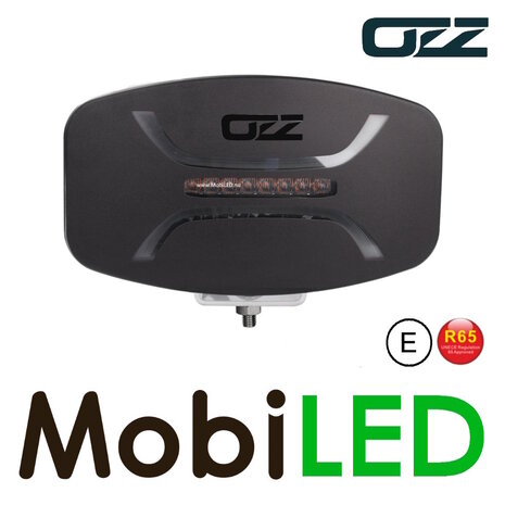 OZZ OZZ Oval spotlight with position light and flash White E-mark