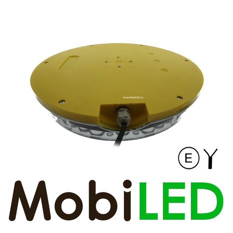 Flasher 300 mm 12-24 volts programmed for action window E-mark