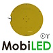 Flasher 300 mm 12-24 volts programmed for action window E-mark