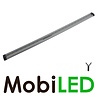 Interieurverlichting strip 50 cm 12 volt Interieurverlichting strip 50 cm 12 volt