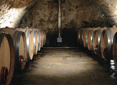 Cave de la Petite Révolution, Provence