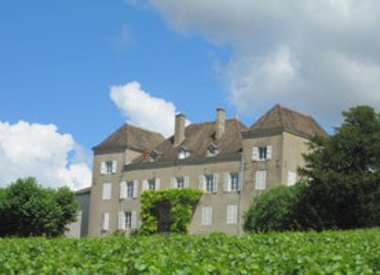 Greffière, Château de la  - Burgund