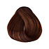 Imperity Singularity Color Hair Dye 7HC Hazelnut Chocolate