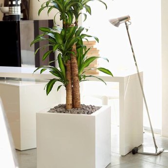 Vondom Cubo Alto 80 bloembak