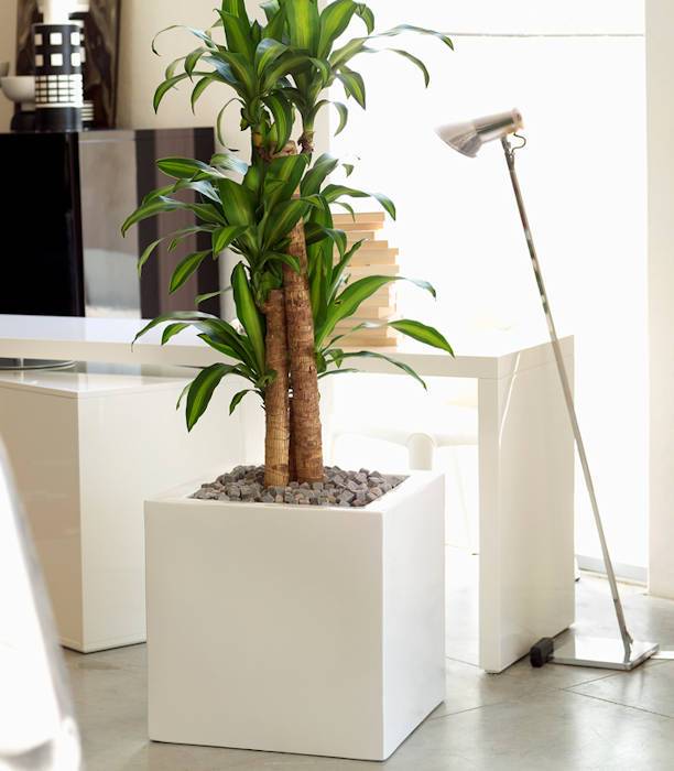Vondom Cubo Alto 80 bloembak