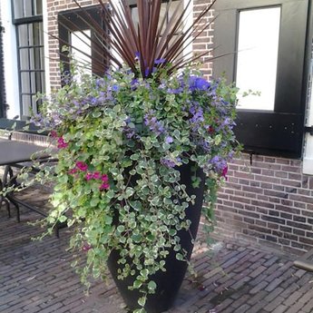 CANNA polyester 50x59 cm ronde plantenbak