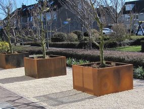 Extra grote plantenbakken