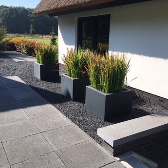 Buxus polyester 120x120x60 cm plantenbak