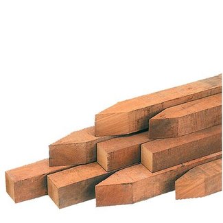 Piketten 20 st. Piketten 20 st.